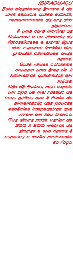IBIRAGUAÇU Esta gigantesca árvore é de uma espécie quase extinta, remanescente da era dos gigantes. É uma obra incrível da Natureza e se alimenta da fotossíntese e extrai água dos vapores úmidos das grandes cavidades onde nasce. Suas raízes colossais ocupam uma área de 2 kilômetros quadrados em média. Não dá frutos, mas expele um tipo de mel rosado de seus galhos que é fonte de alimentação das poucas espécies hospedeiras que vivem em seu tronco. Sua altura pode variar de 200 a 500 metros de alturas e sua casca é espessa e muito resistente ao fogo.